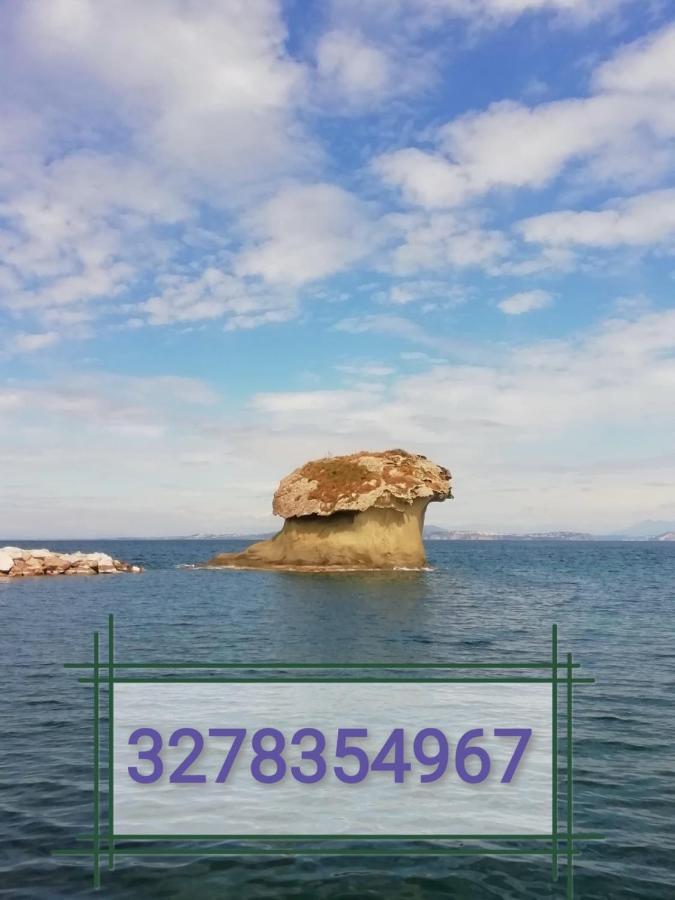 拉科阿梅诺Ross House公寓 外观 照片